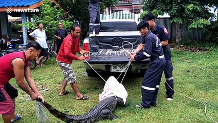 Wild crocodile sends six policeman running after being found in pensioner's home