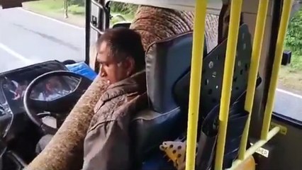 Un éléphant prend sa commission dans un bus