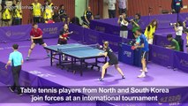 Ping-pong diplomacy between the two Koreas