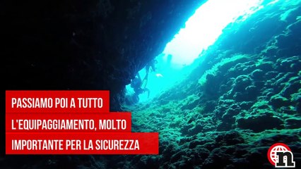 SCUBA DIVING TRA PESCI E SQUALI, ATTREZZATURA E ACCESSORI- CONSIGLI UTILI - Notizie.it