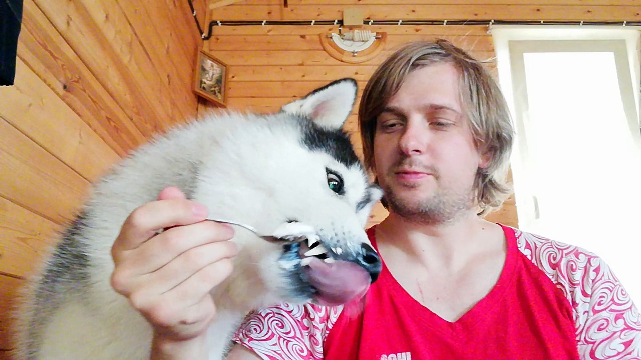 The best nutritionist, will never allow to eat excess