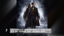 Les Animaux fantastiques 2 : Jude Law n'a pas tourné avec Johnny Depp