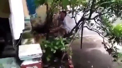 “  HÃY PHÁT TÂM TỪ BI THƯƠNG XÓT LOÀI VẬT.............ĐỪNG SÁT SANH NỮA……..
