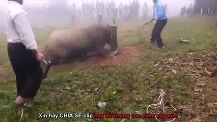 MỖI ÁC NGHIỆP LÀ MỘT TỜ GIẤY NỢ TRẢ ĐỜI NÀY HOẶC TRẢ MAI SAU VAY BAO THÌ TRẢ CŨNG BAO XƯA NAY NHÂN QUẢ LUẬT NÀO NỂ AI