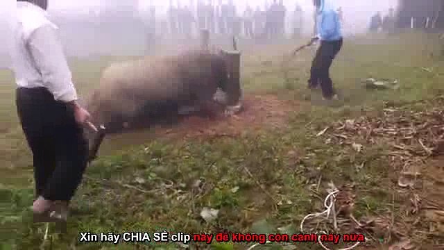 MỖI ÁC NGHIỆP LÀ MỘT TỜ GIẤY NỢ TRẢ ĐỜI NÀY HOẶC TRẢ MAI SAU VAY BAO THÌ TRẢ CŨNG BAO XƯA NAY NHÂN QUẢ LUẬT NÀO NỂ AI