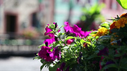 Postcard - MXGP of Czech Rep. 2018 Loket