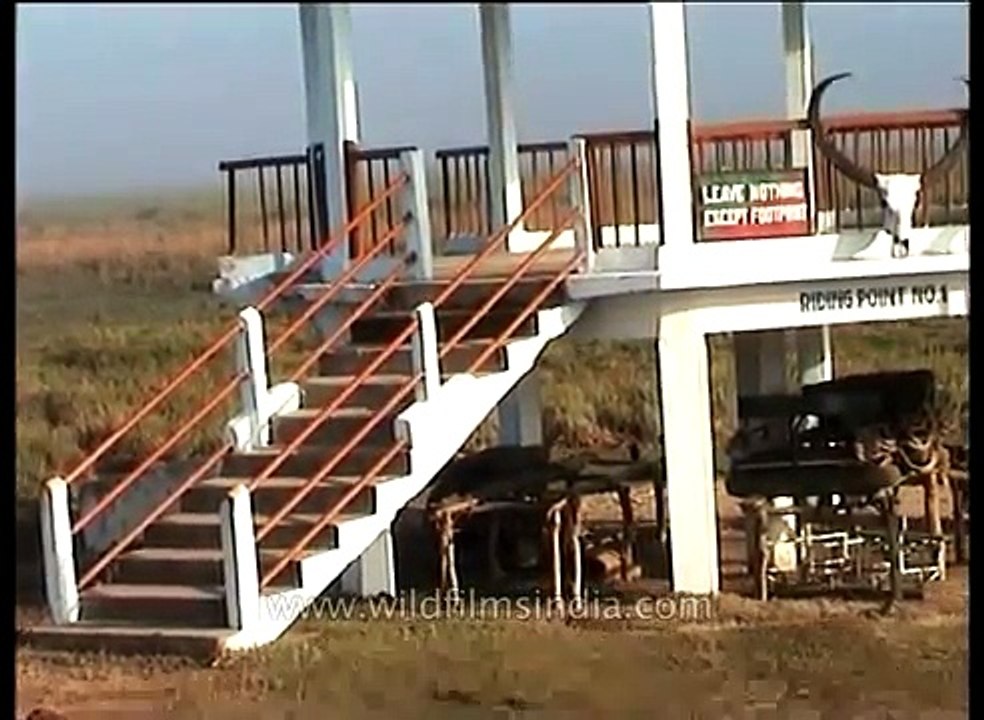 Jeep safari at Kaziranga National Park Assam