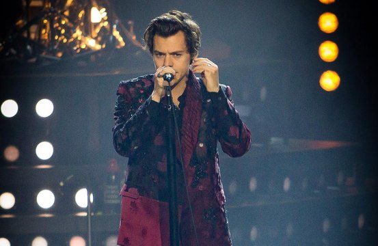 Harry Styles: 'Nous sommes tous un peu gay'