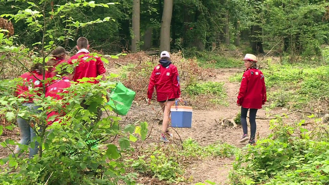 A l'heure des camps d'été, le scoutisme français en plein essor