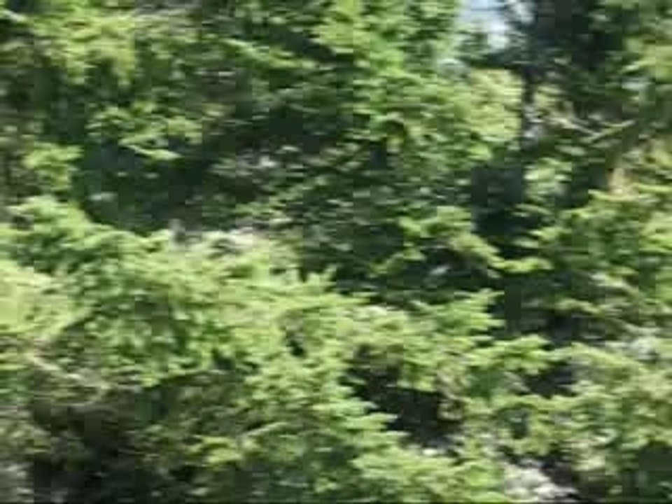 Aug4_Austria_7