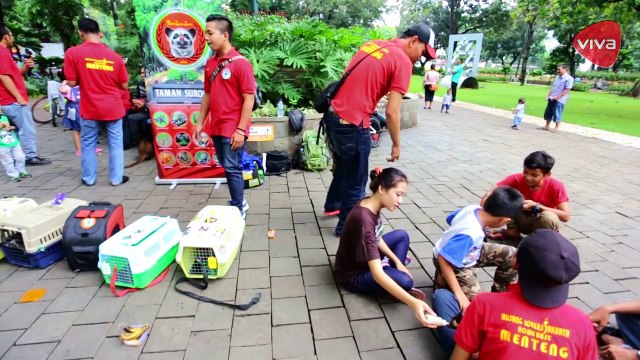 Mengenal Lebih Dekat Komunitas Pecinta Musang