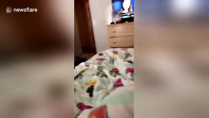 This cat was not impressed at being told to 'shut up'