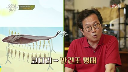 수미네 알쓸신잡 Q. 단단쫄깃 코다리! 매력이 뭐죠? (ft. 황교익)