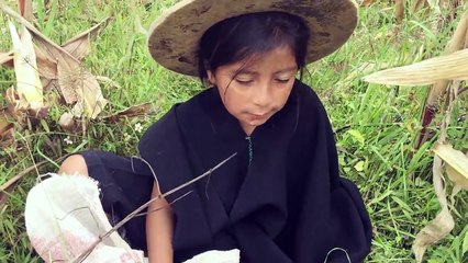 Ashukito cosechando el maíz con la abuelita (AdoniS ChikitO)