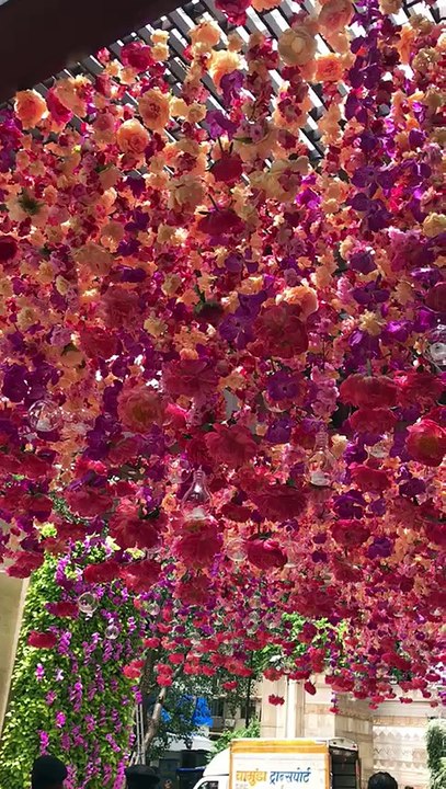 amazing decoration
