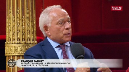 Affaire Benalla : « Il faut un peu raison garder » estime François Patriat