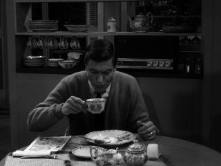 Dick van Dyke 118 - Bupkis