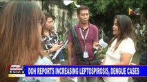 DOH reports increasing Leptospirosis, Dengue cases