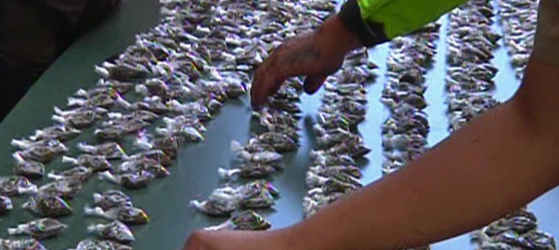 Dos jóvenes menores de edad que serían integrantes de una banda de asaltantes fueron aislado en Calderón, norte de Quito
