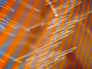 CAPTAIN KAZOO/  "FLAMENKAZOO" /  VIDEO & CD