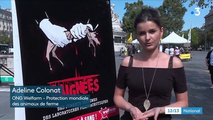 Souffrance animale : le scandale des "fermes à sang"