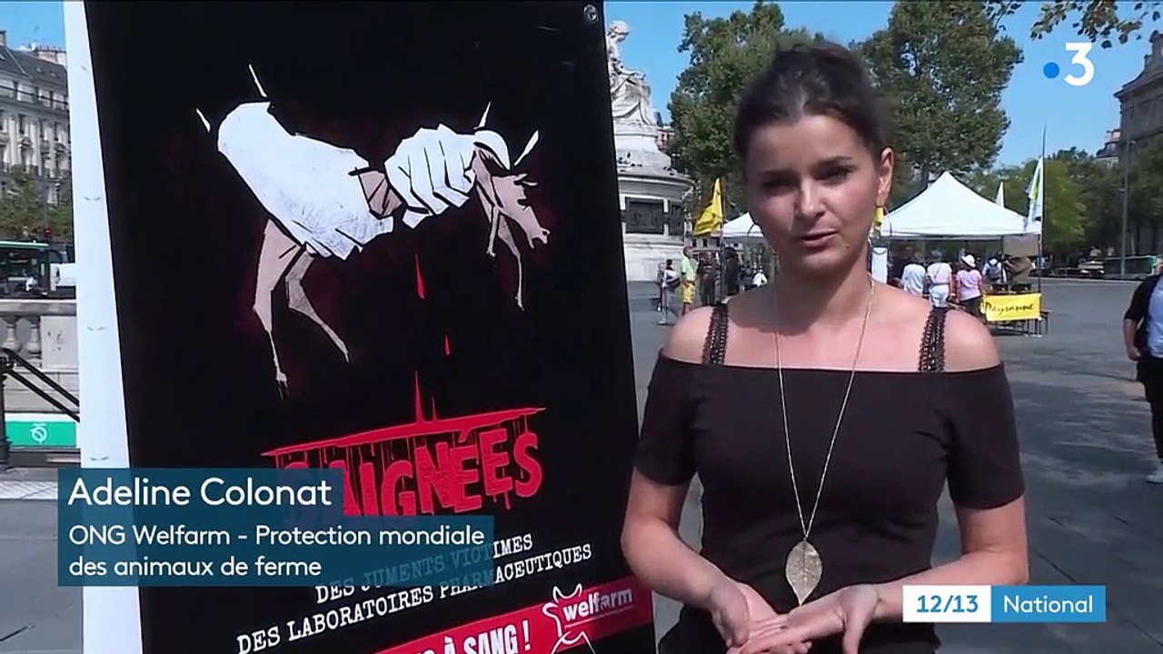 Souffrance animale : le scandale des "fermes à sang"