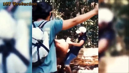 BIGGEST WILD ANIMAL ATTACK VIDEOS COMPILATIONS 2017 ( 720 X 1280 )