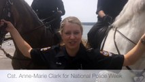 National Police Week - VPD Mounted Unit