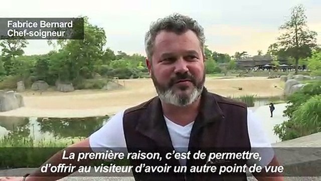 Parc zoologique de Paris: balade dans la fraîcheur du soir