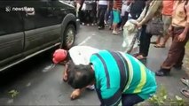 Villagers in Indonesia rescue 10m-long python runover by car