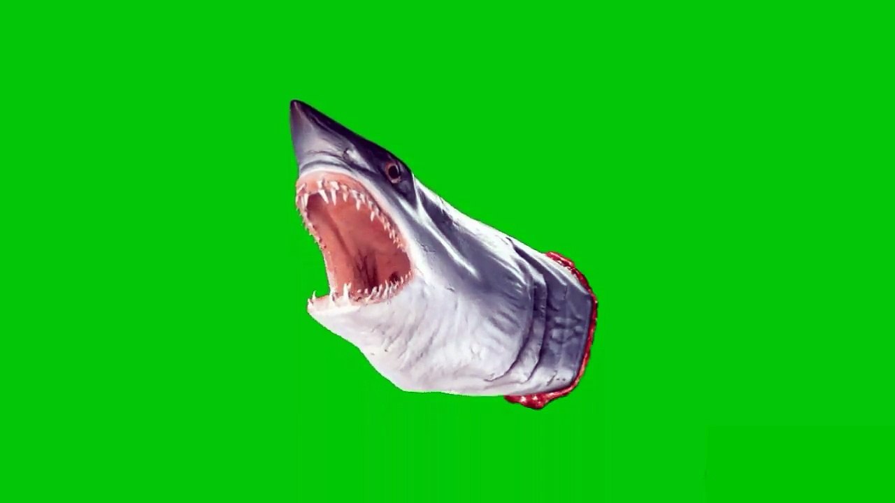 Green screen shark effects pack (5 pack). An incredible effect that MUST WATCH by everyone.
