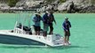 Fly Fishing for Sharks in the Bahamas