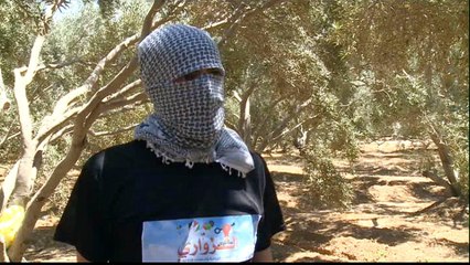 Hamas defiant after Israeli threats over burning kites
