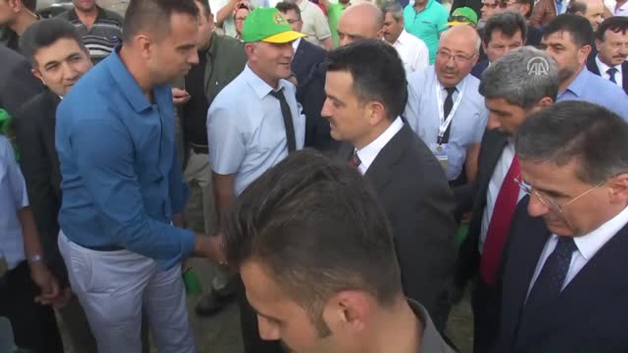 Tarım ve Orman Bakanı Pakdemirli, Hasat Bayramı'na Katıldı