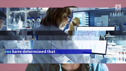 Researchers Say Bacon Is Bad for Your Mental Health