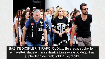 Kedicikler 'itirafçı' oldu! 40 savcı görevlendirildi anlatılanlar iğrenç