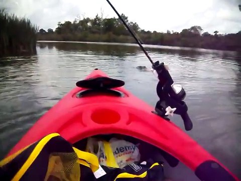 Ce pecheur en kayak va faire une drôle de rencontre... Gros alligator