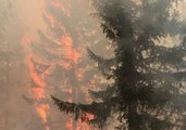 Firefighters Work to Contain Dozens of Fires Burning in Sweden