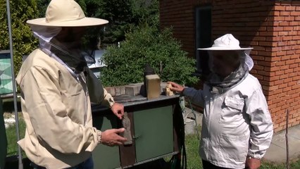 4 strony pasji RTK - pszczoły Adama Szołdry