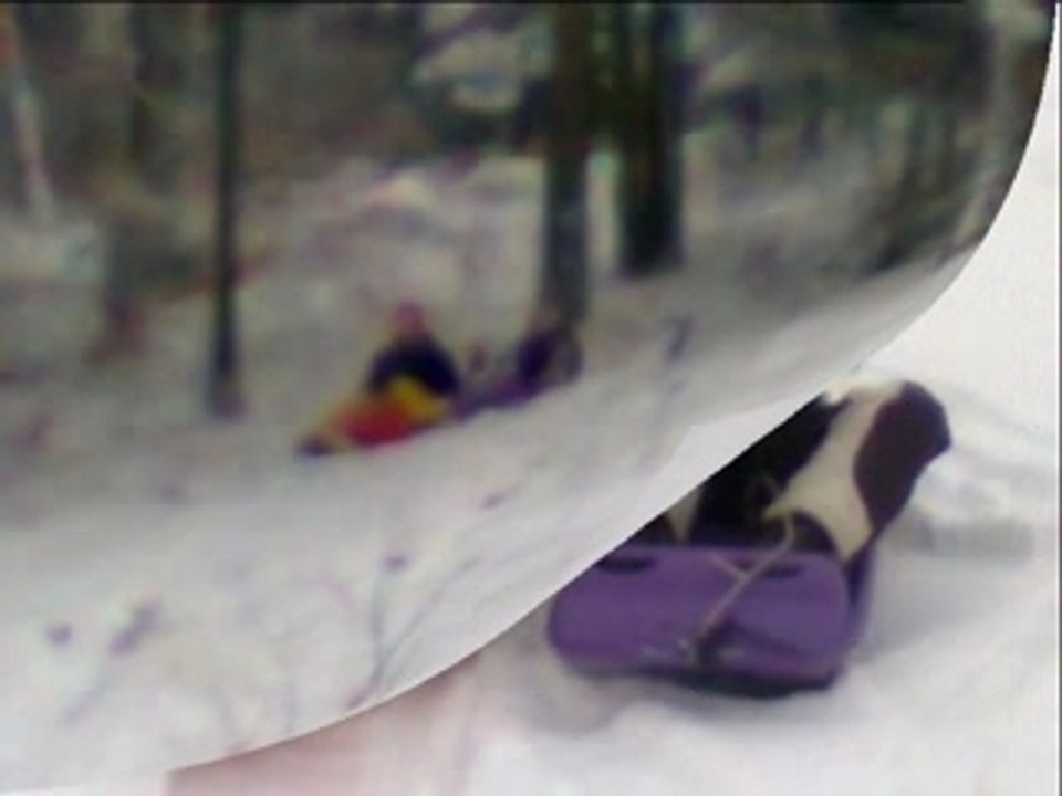 Luge
