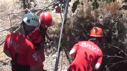 Kuyuya Düşen Yavru Kediyi Akut Gönüllüleri Kurtardı