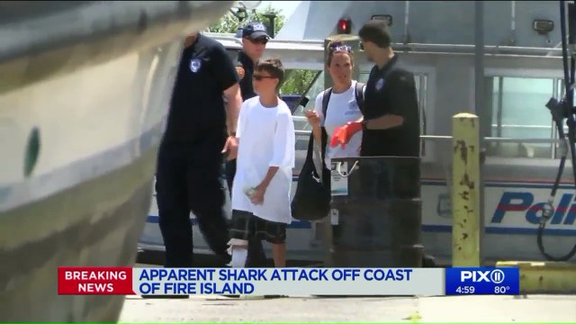 2 Children Bitten in Possible Shark Attacks at Fire Island Beaches