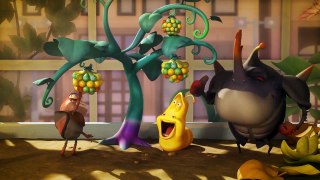 LARVA - MAGIC JAR | 2017 Cartoon Movie | Cartoons For Children | LARVA Official