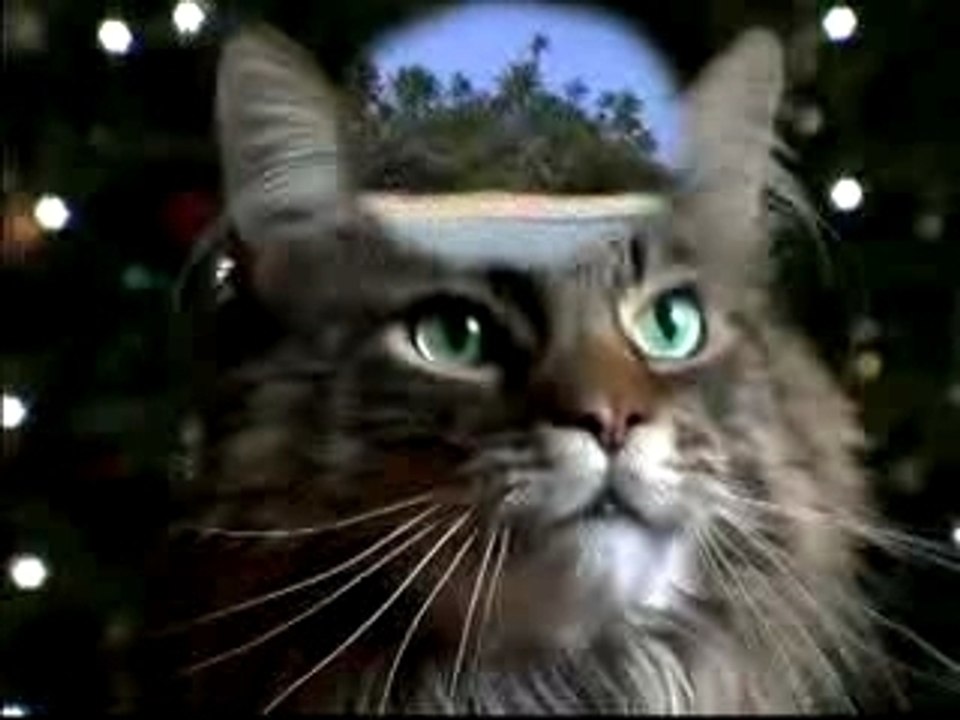 Cha(n)t noel
