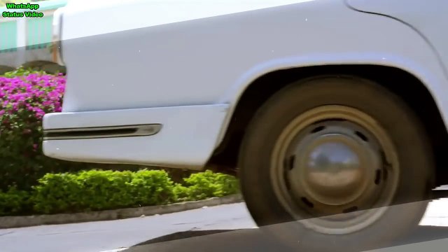 Rang _ Unplugged Cover _ Aisa Rang Ishqe Da Chadya _ Hashmat Sisters _ WhatsApp _HD