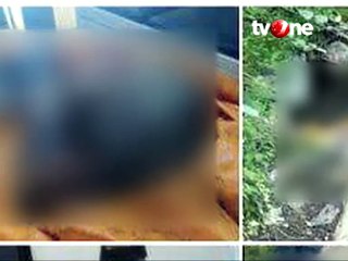 Persahabatan Berakhir dalam Kardus (Bagian 1)