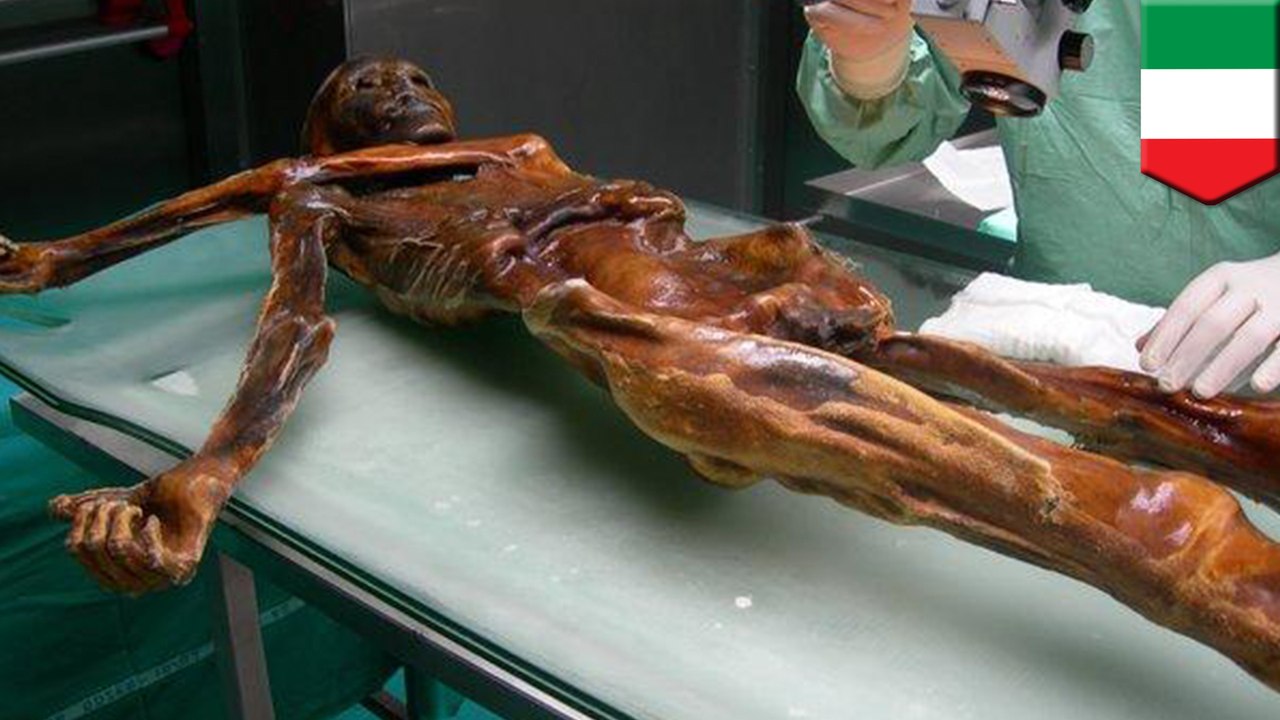 Scientists reveal Otzi the Iceman's last meal 5,300 years ago