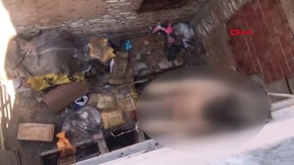 Denizli 8 Yavru Köpeğin Kulaklarını Kesip Barınağa Bıraktılar