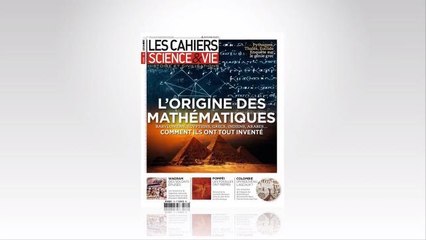 L'origine des mathématiques - Les Cahiers de Science & Vie n°179