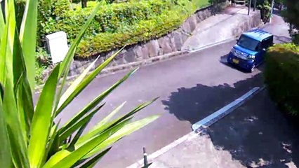 EDR July #19 2018 Traffic Obstruction and  Helicopter Sound